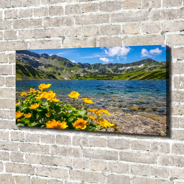 Foto canvas Meer in de bergen