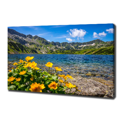 Foto canvas Meer in de bergen