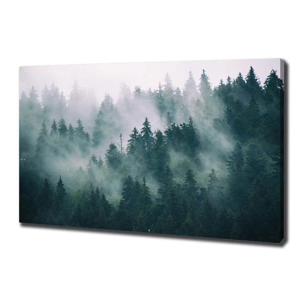Schilderij op canvas Mist boven het bos