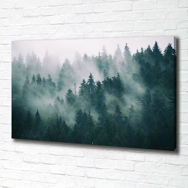 Schilderij op canvas Mist boven het bos