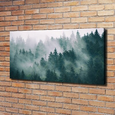 Schilderij op canvas Mist boven het bos