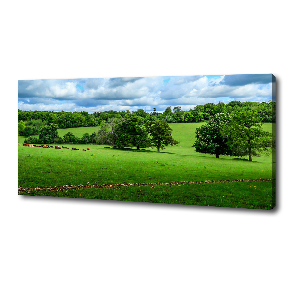 Foto op canvas Groene heuvels