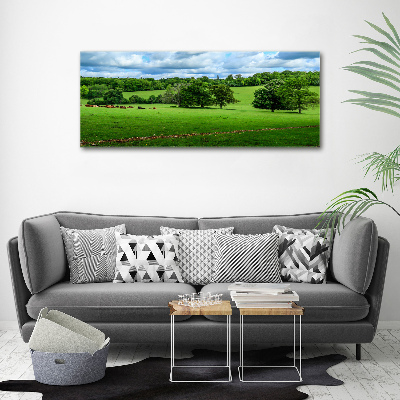 Foto op canvas Groene heuvels
