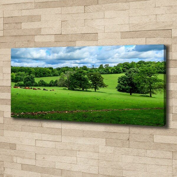 Foto op canvas Groene heuvels