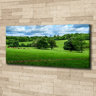 Foto op canvas Groene heuvels