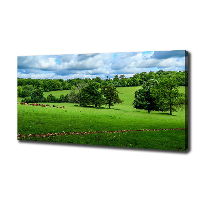 Foto op canvas Groene heuvels