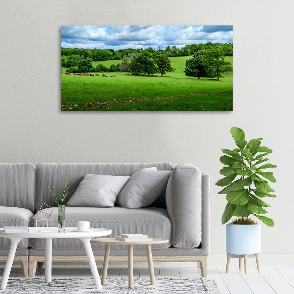 Foto op canvas Groene heuvels
