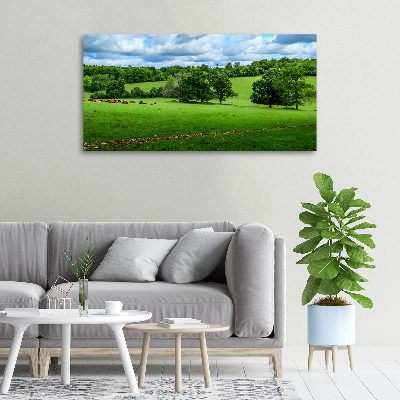 Foto op canvas Groene heuvels