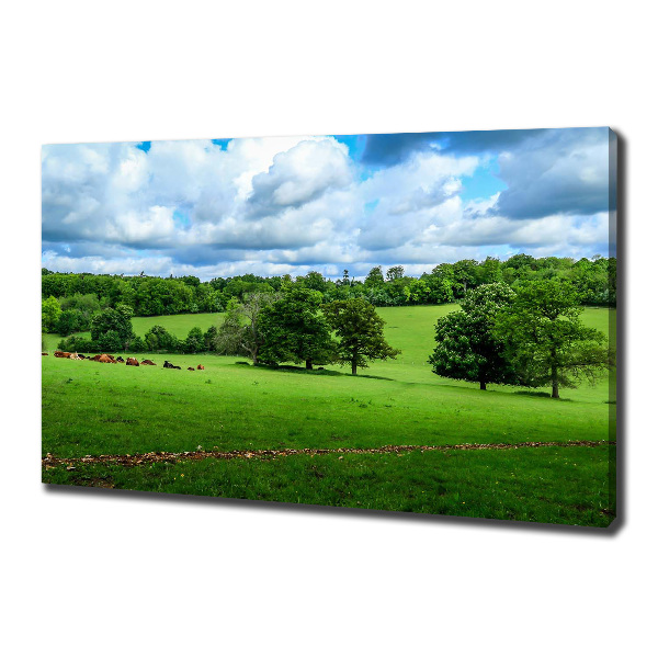 Foto op canvas Groene heuvels
