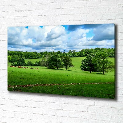 Foto op canvas Groene heuvels