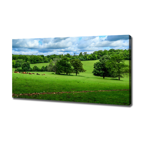 Foto op canvas Groene heuvels