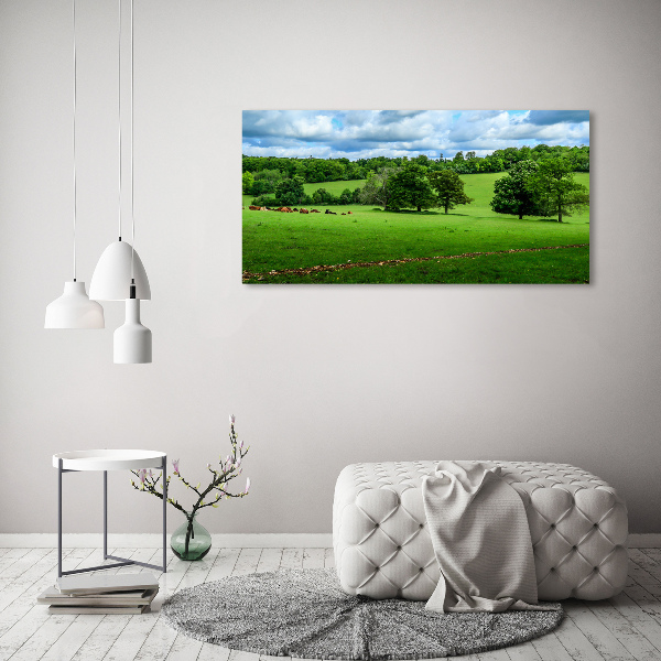 Foto op canvas Groene heuvels