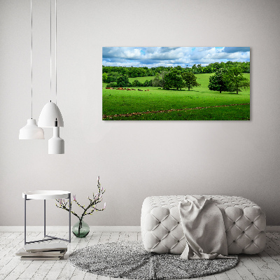 Foto op canvas Groene heuvels