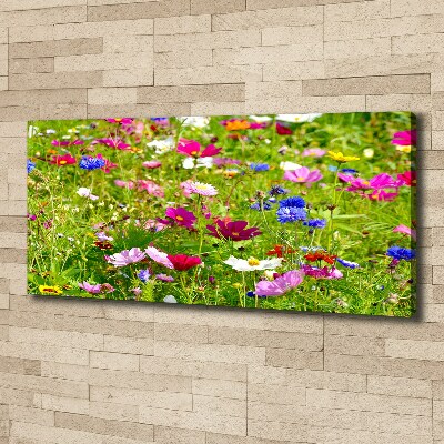 Foto op canvas Wilde bloemen