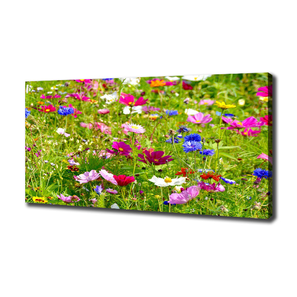 Foto op canvas Wilde bloemen
