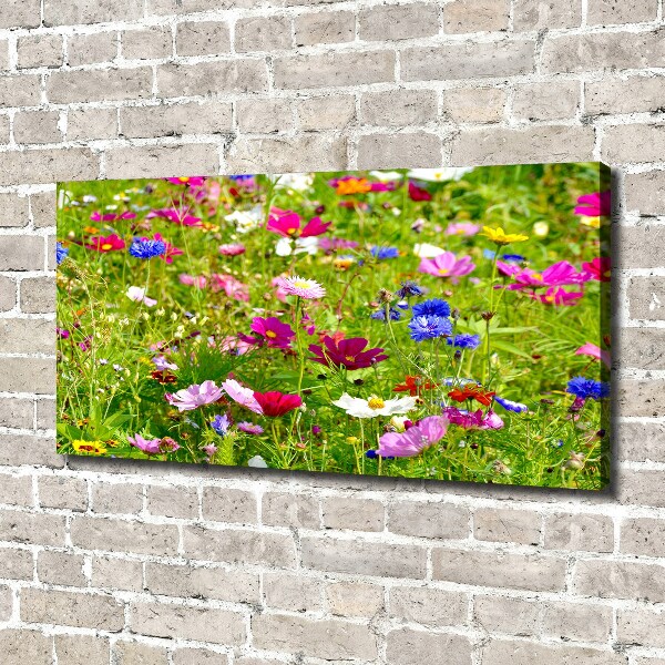 Foto op canvas Wilde bloemen