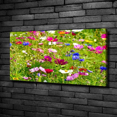 Foto op canvas Wilde bloemen