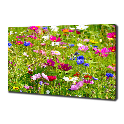 Foto op canvas Wilde bloemen