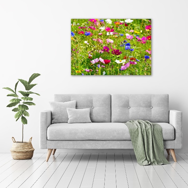 Foto op canvas Wilde bloemen