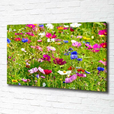 Foto op canvas Wilde bloemen