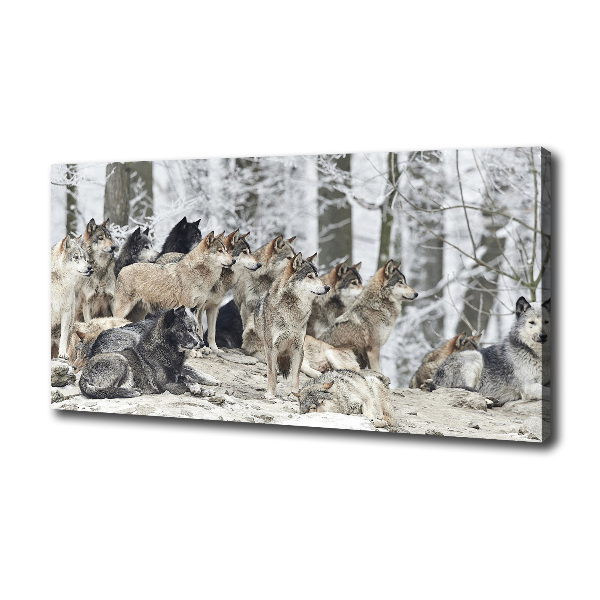 Schilderij op canvas Wolven in de winter