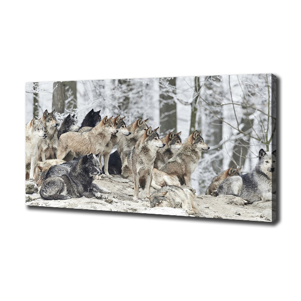 Schilderij op canvas Wolven in de winter