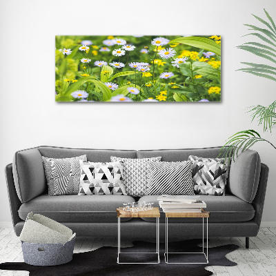 Canvas foto Madeliefjes