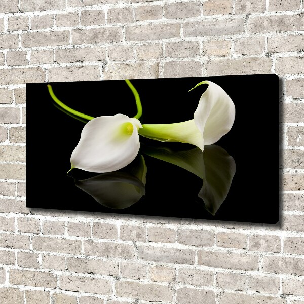 Schilderij op canvas Calla