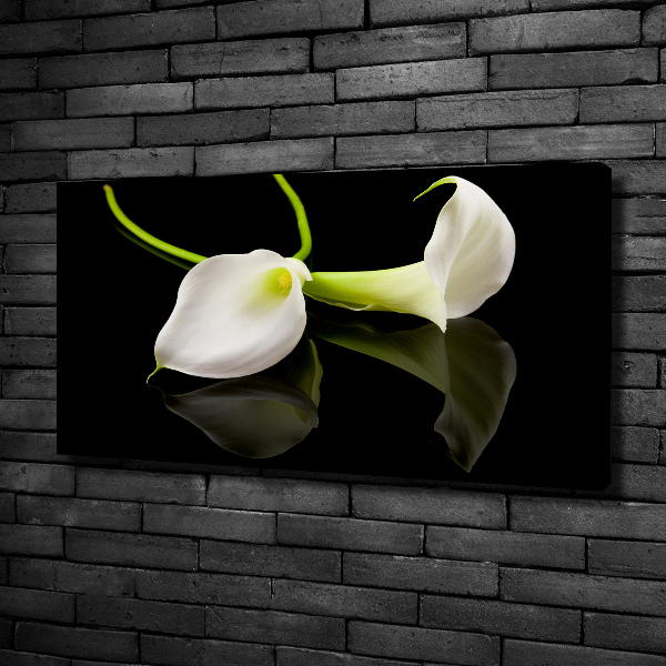 Schilderij op canvas Calla