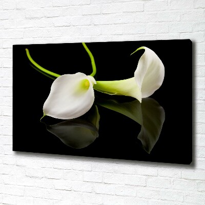 Schilderij op canvas Calla