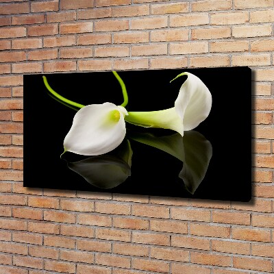 Schilderij op canvas Calla