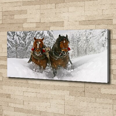 Schilderij op canvas Sleerit