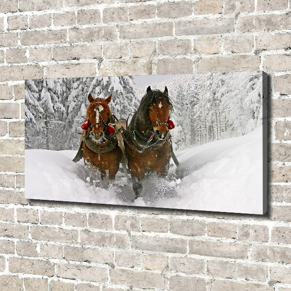 Schilderij op canvas Sleerit