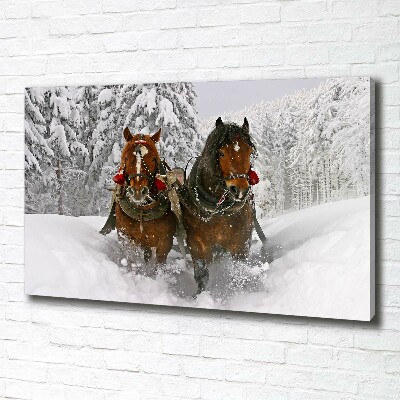 Schilderij op canvas Sleerit