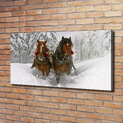 Foto obraz ze zdjęcia do salonu Kulig