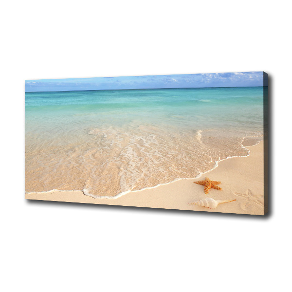 Canvas schilderij Zeesterren op het strand