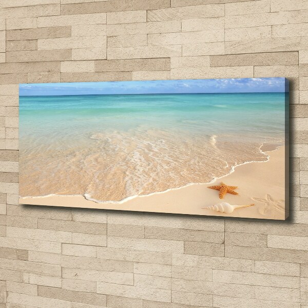 Canvas schilderij Zeesterren op het strand