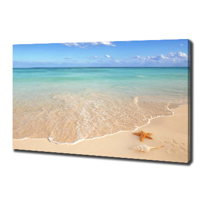 Canvas schilderij Zeesterren op het strand