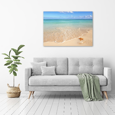 Canvas schilderij Zeesterren op het strand
