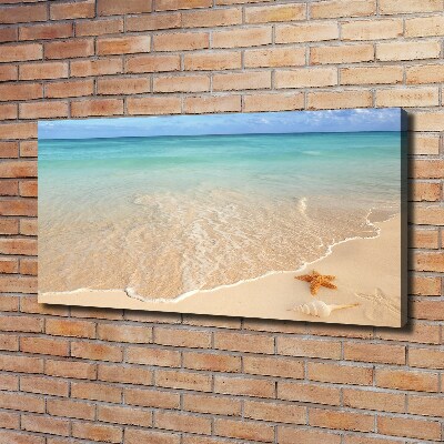 Canvas schilderij Zeesterren op het strand