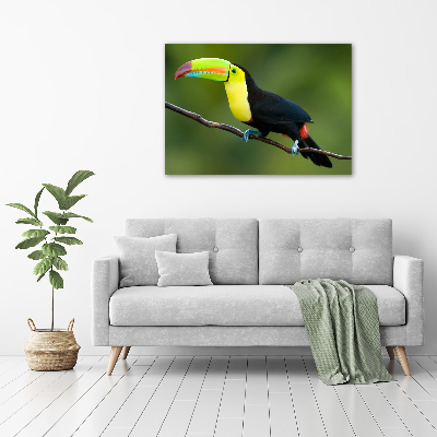 Foto obraz ze zdjęcia do salonu Tukan
