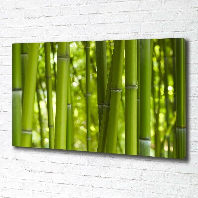 Schilderij op canvas Bamboe