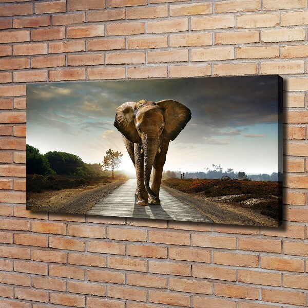 Foto op canvas Lopende olifant