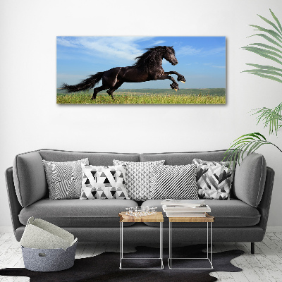 Canvas foto Zwart paard in de wei