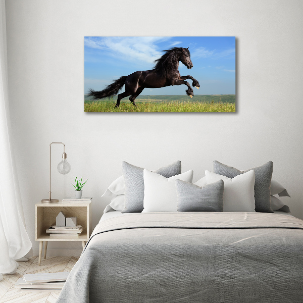 Canvas foto Zwart paard in de wei