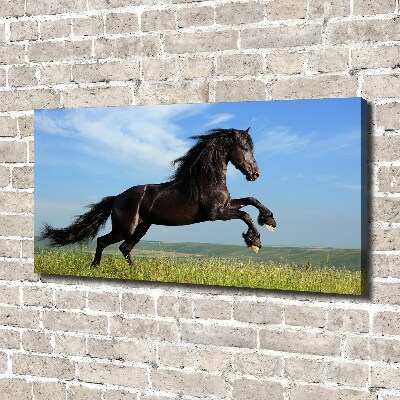 Canvas foto Zwart paard in de wei
