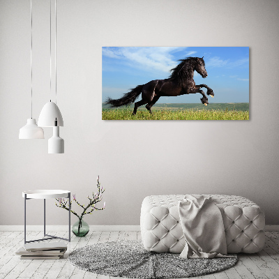 Canvas foto Zwart paard in de wei