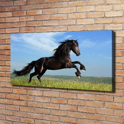 Canvas foto Zwart paard in de wei