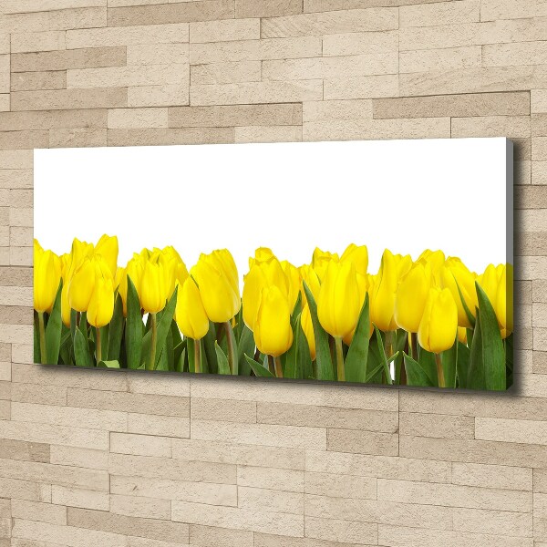 Foto canvas Gele tulpen