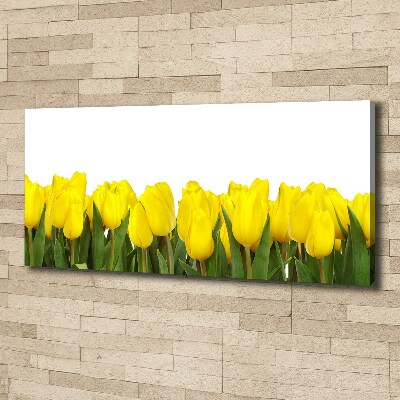Foto canvas Gele tulpen